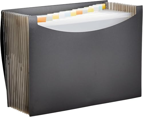 Amazon Basics 13-pocket expanding file